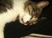 Thumbs/tn_Jacky 006.jpg